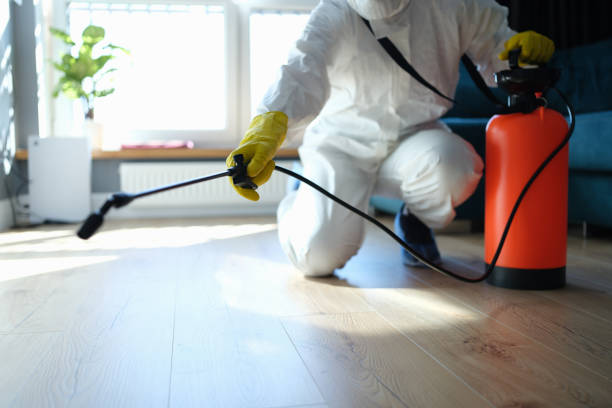 Reliable Biohazard Cleanup contractor in Milledgeville, IL by Trauma Clean Pros
